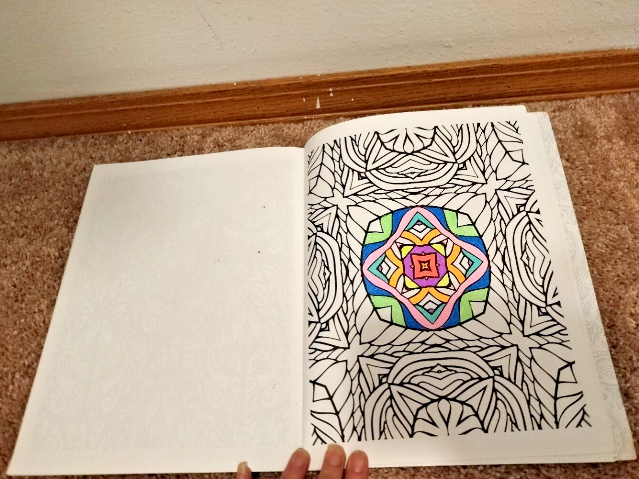 Adult Coloring Book Lot Cats Dogs Ocean Floral Mixed Condition Set 3