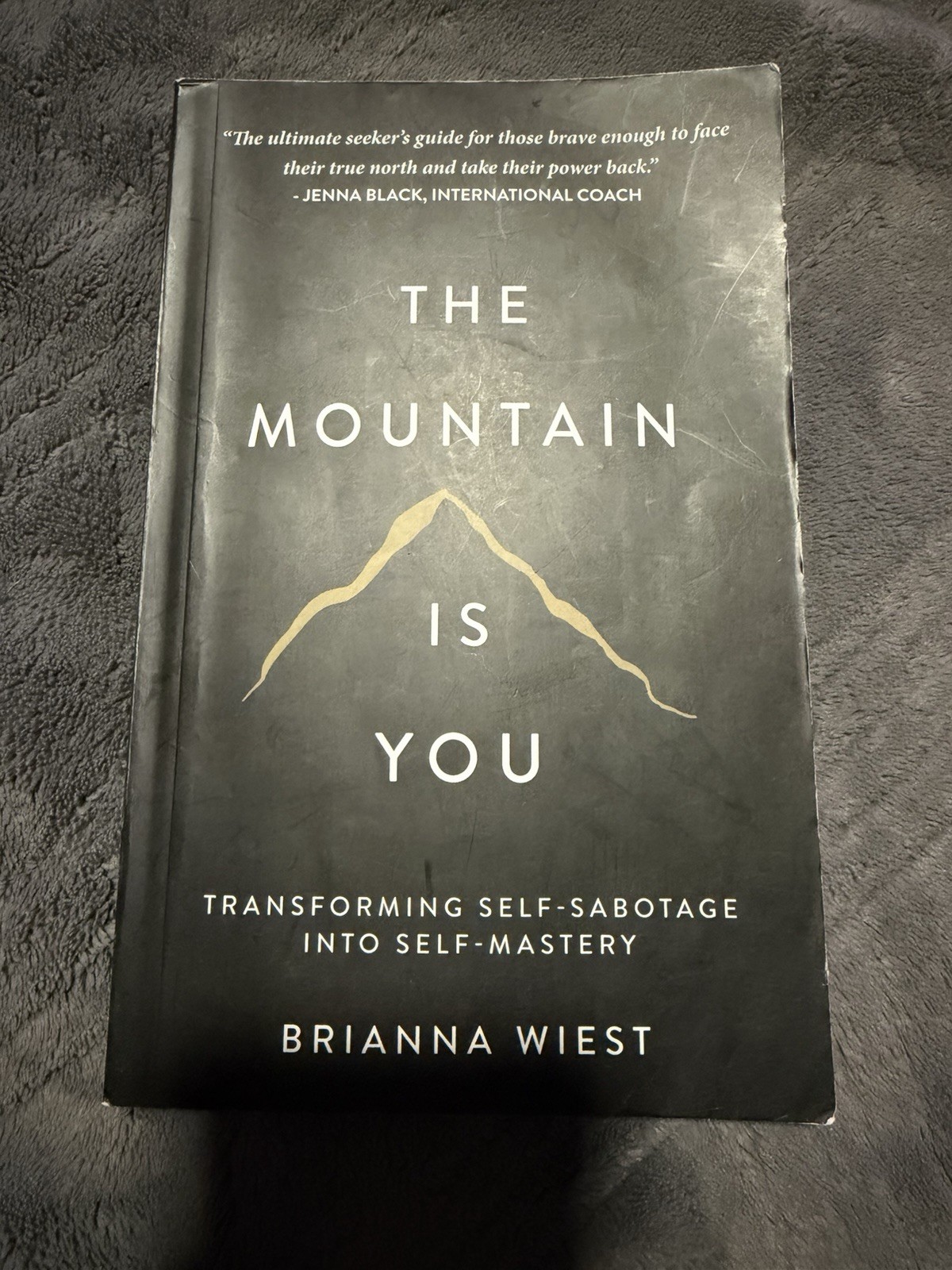 The Mountain is You By Brianna Wiest USA Stock Premium Quality Free Shipping
