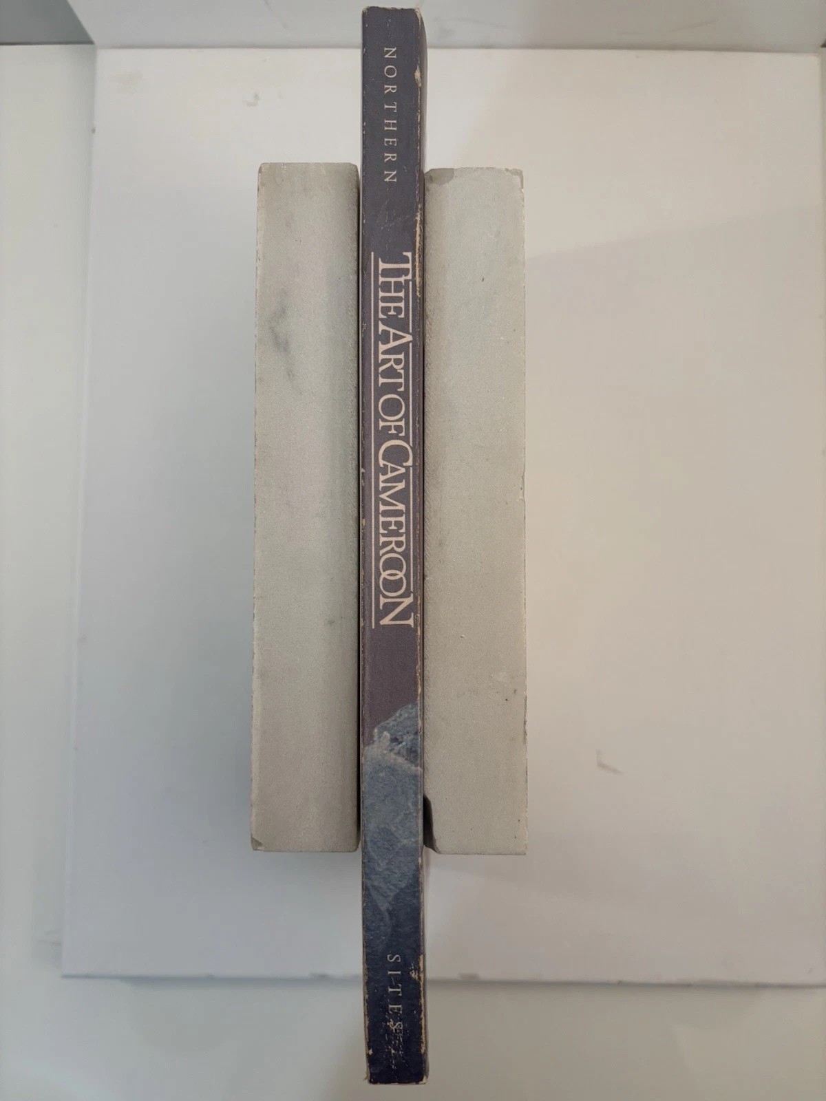 The Art of Cameroon | Tamara Northern | Smithsonian African Art PB