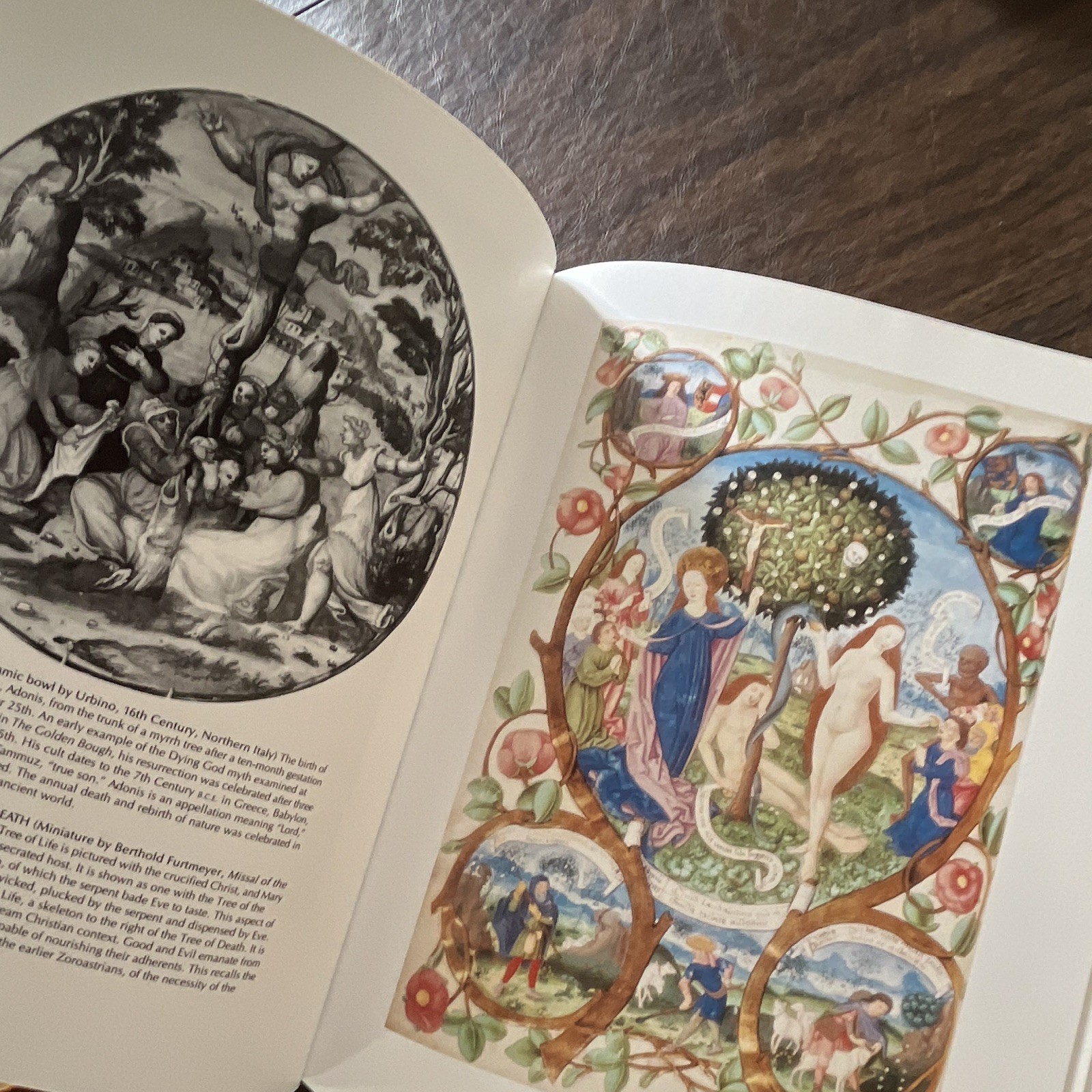 Art and Symbols of the Occult HC Illustrated James Wasserman 1993 Tiger Books