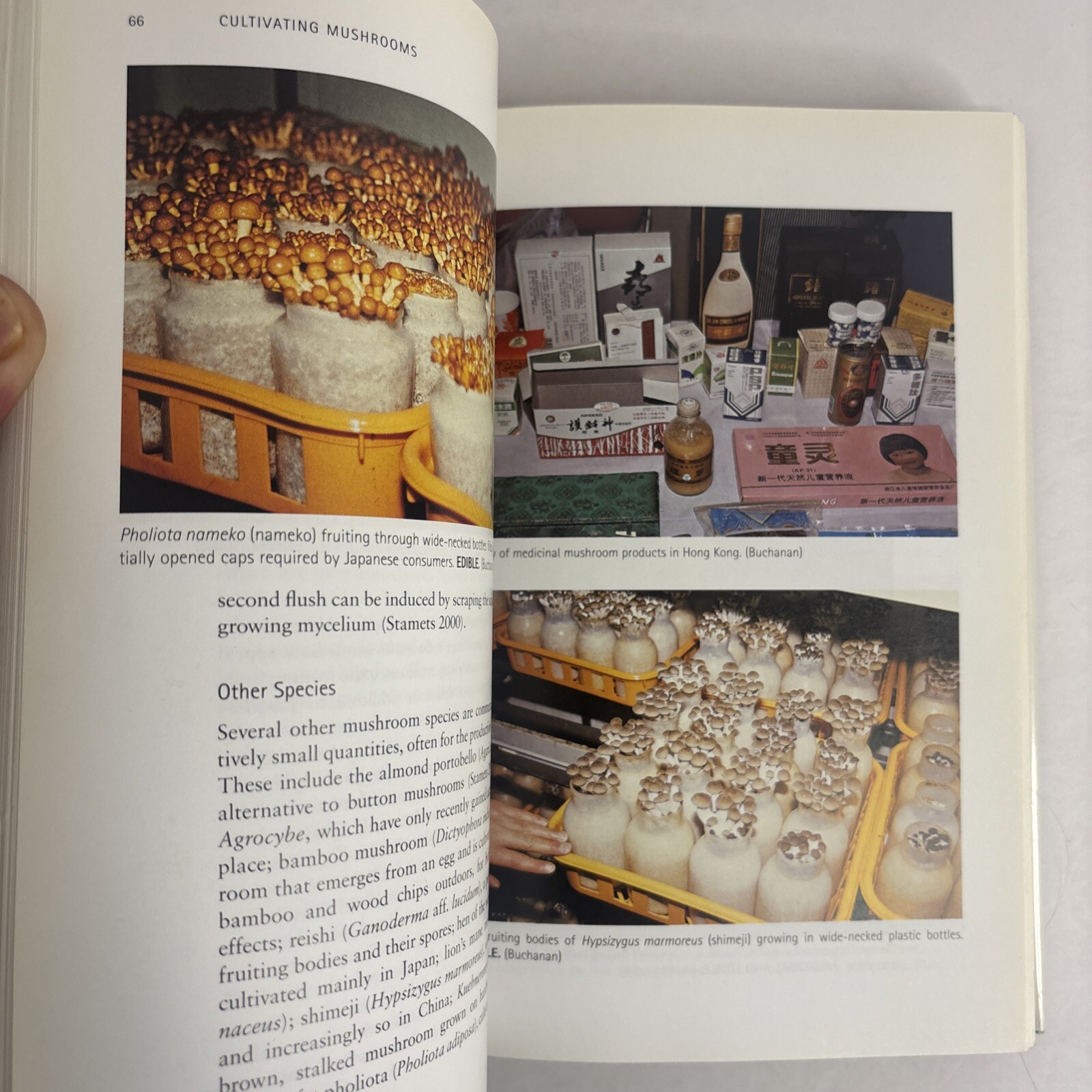 Edible and Poisonous Mushrooms of the World by Hall, Stepheson, Buchanan, Yun