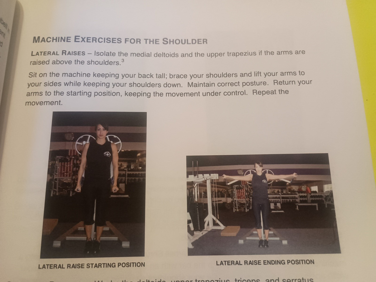 Built for Strength: A Basic Approach to Weight Training By Doug Briggs