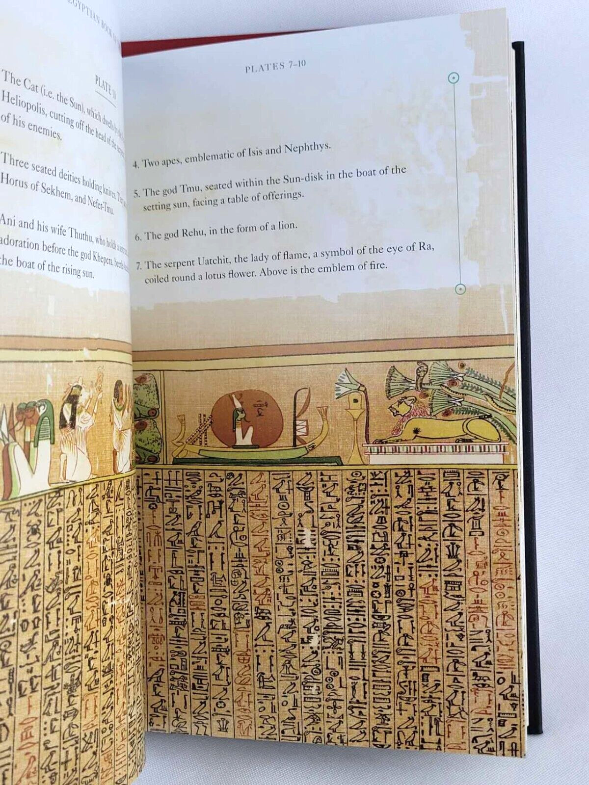 THE EGYPTIAN BOOK OF THE DEAD & TIBETAN BOOK OF THE DEAD Illustrated *Brand New*