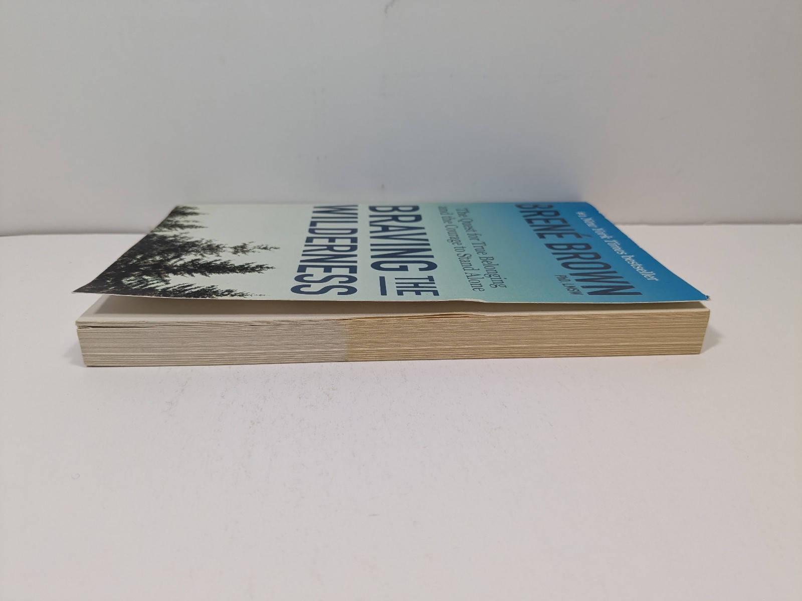 Braving the Wilderness by Brene Brown Paperback Book Psychology Self Help Memoir