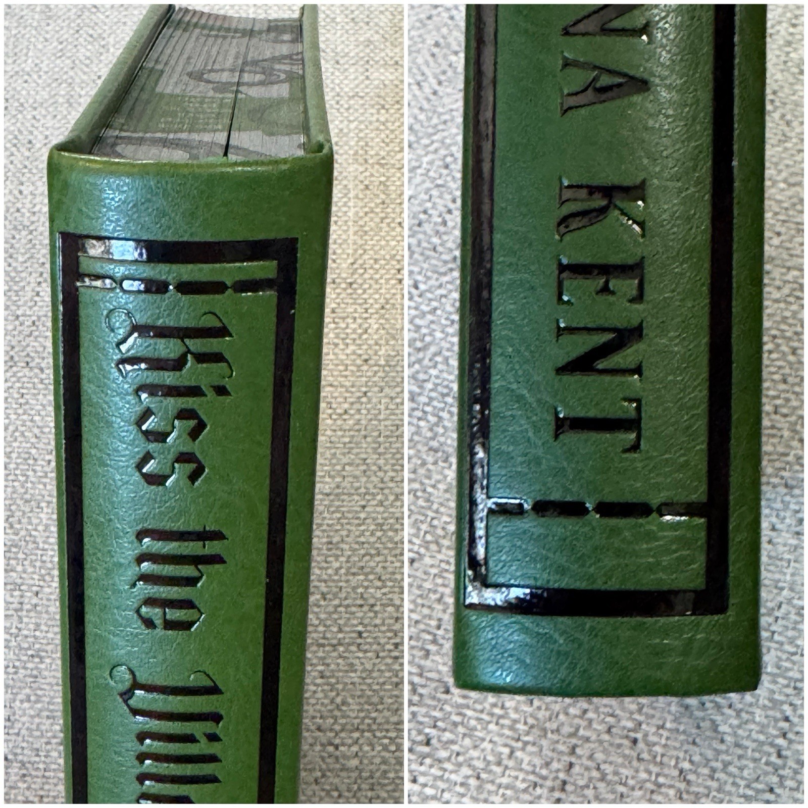 Kiss The Villain By Rina Kent Baddies Book Box Special Edition MM Romance
