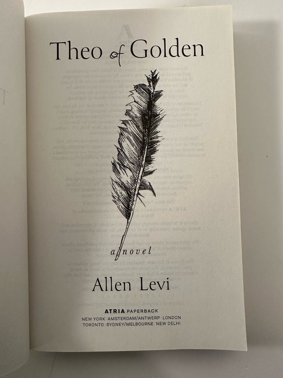 Theo of Golden Allen Levi Paperback Book 2023 Used