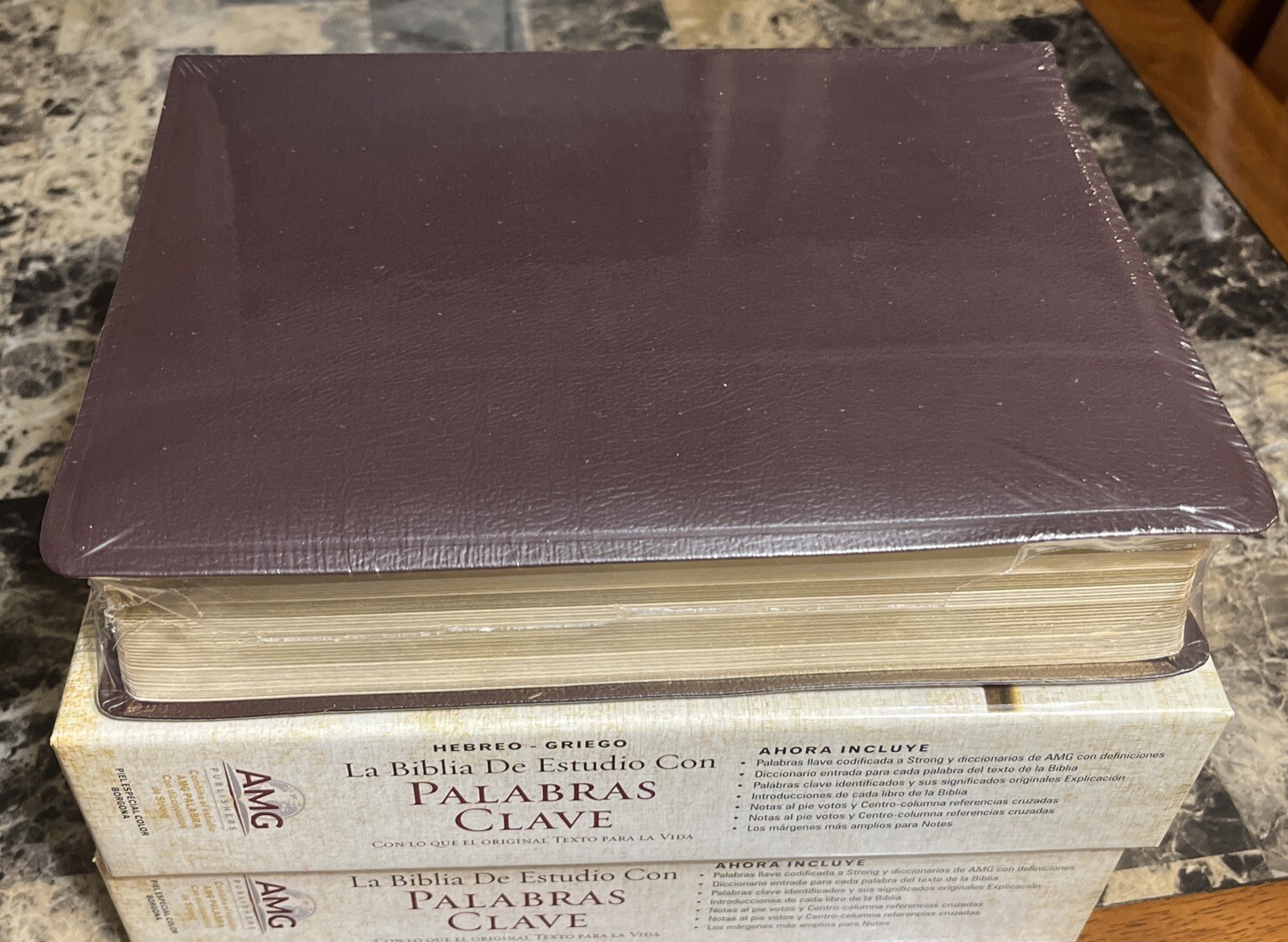 BIBLIA PALABRAS CLAVE DICCIONARIO HEBREO- GREIGO PIEL ESPECIAL BORGOÑA RV 1960