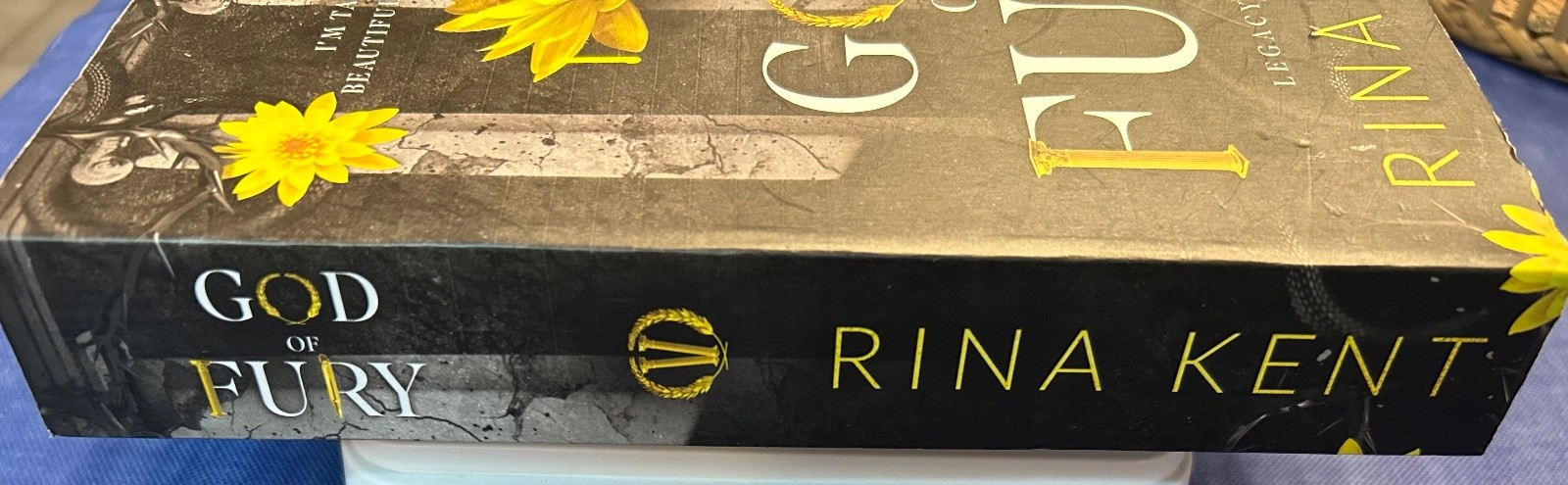 God of Fury by Rina Kent (2023, Trade Paperback) Used ISBN 9781685452186