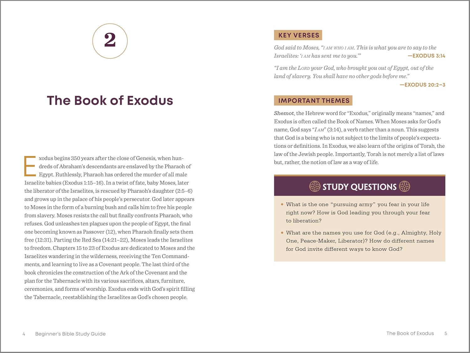 The Beginner’S Bible Study Guide: an Introduction to All 66 Books of the Bible