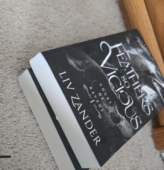Court Of Ravens Dark Fantasy Romance Feathers So Vicious Shadows So Cruel Indie