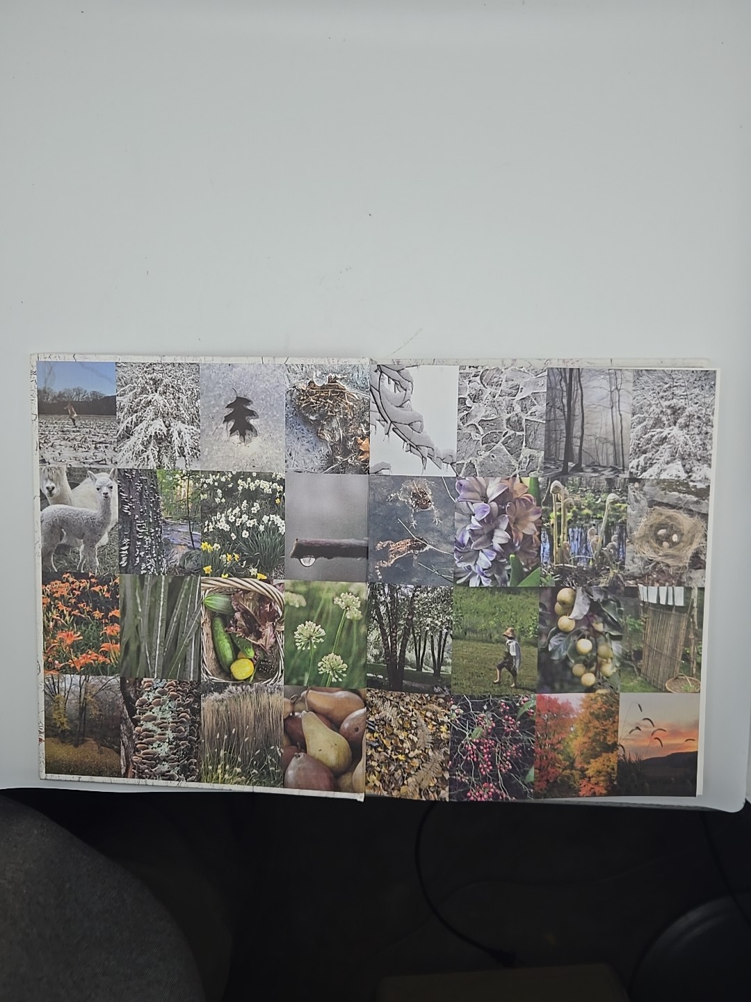 Living Upriver Artful Homes, Idyllic Lives Barbra de Vries Hardback