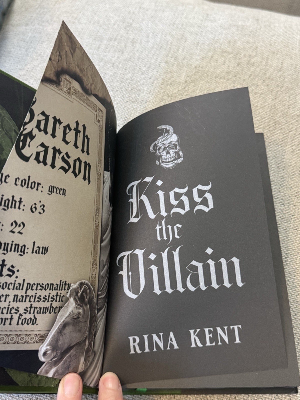 Kiss The Villain By Rina Kent Baddies Book Box Special Edition MM Romance