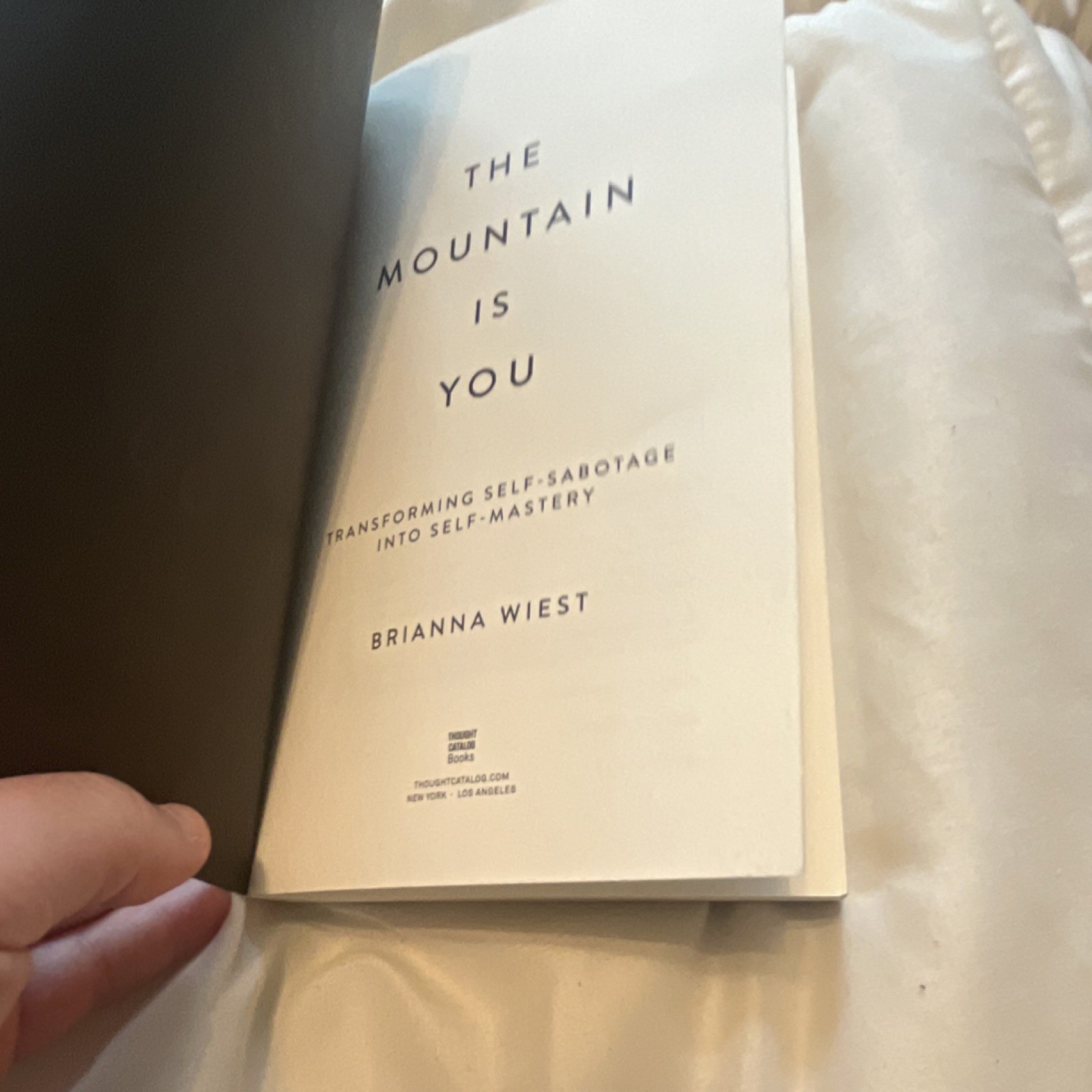 THE MOUNTAIN IS YOU BY BRIANNA WIEST