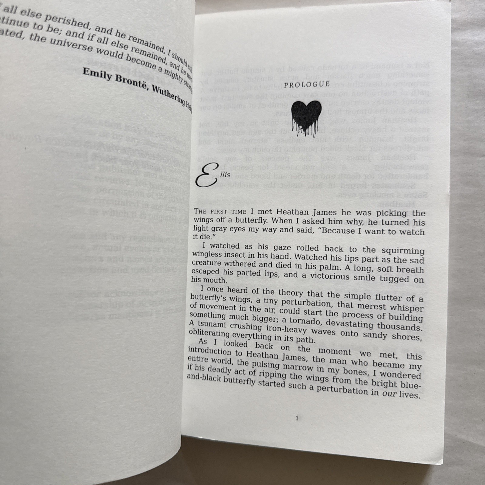 Sick Fux – Smaller Version (8-1/4 x 5-1/2 x 3/4 inch, 304 pages), Paperback
