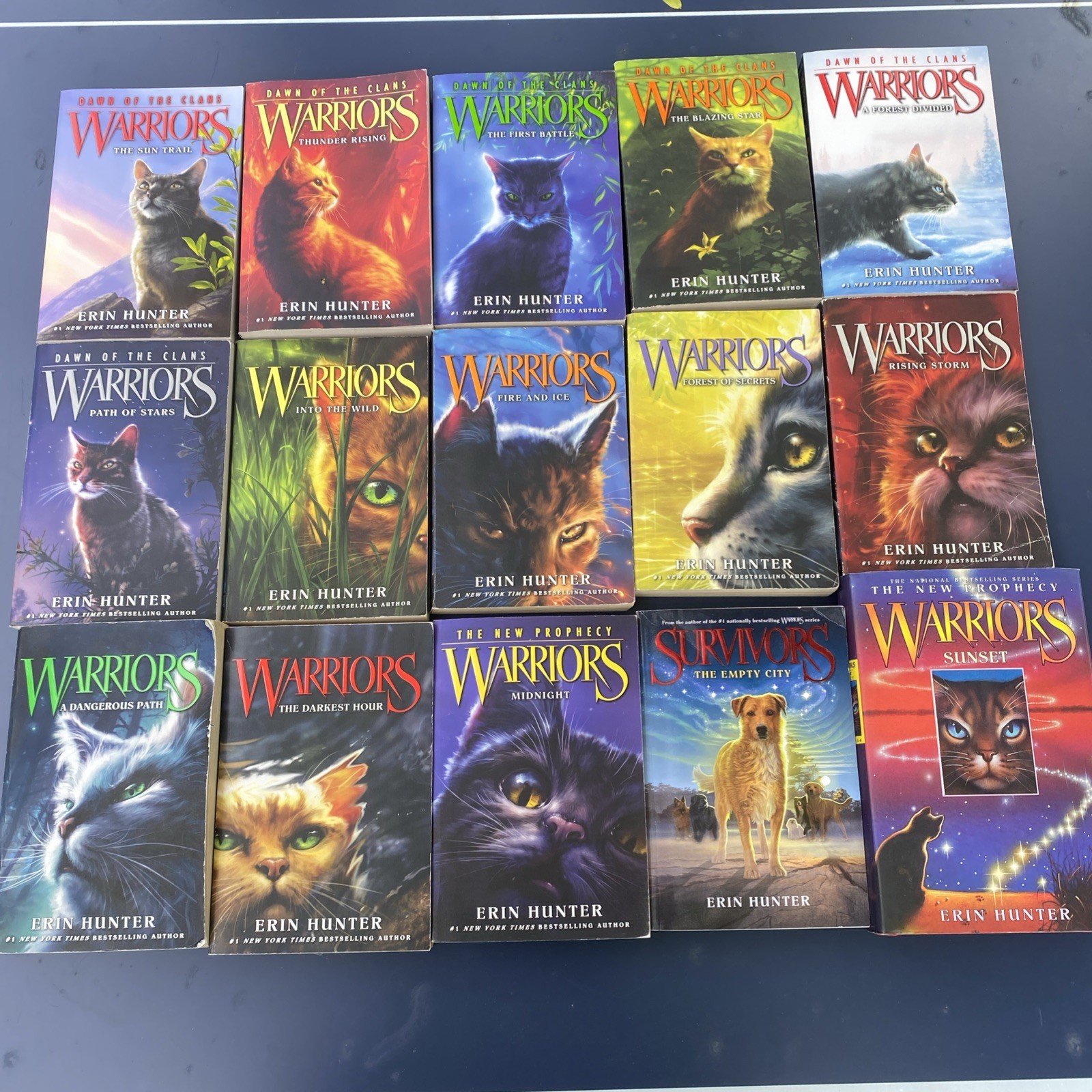 Erin Hunter Warriors Book Lot 2 Complete Sets Plus Extras!!! Refer to Photos!!!
