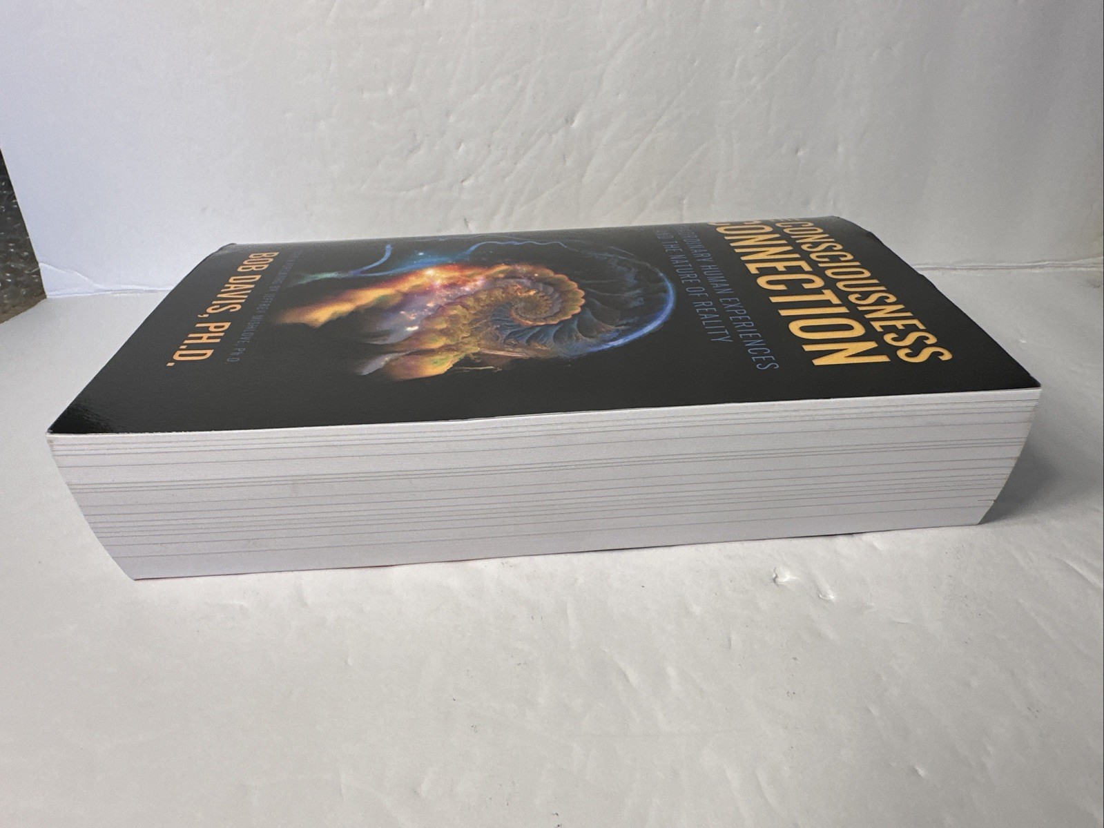The Consciousness Connection by Bob Davis (Paperback, 2024, UNMARKED!)