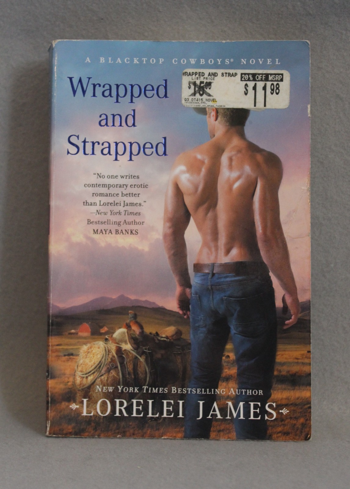 Blacktop Cowboys Series 14 Titles in 12 PBs Lorelei James PB Novellas USED Good