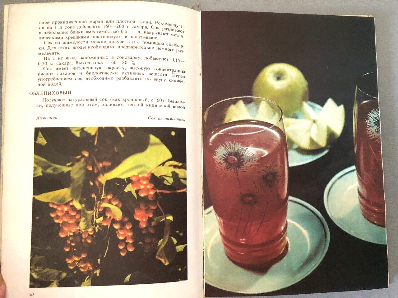 Книга на русском Приготовление фруктовых и овощных соков в домашних условиях