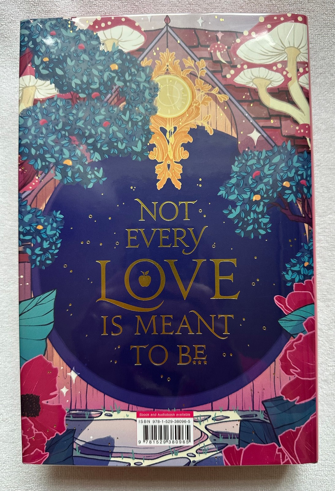 Once Upon a Broken Heart Trilogy, Goldsboro edition: 1st book has fox on cover!