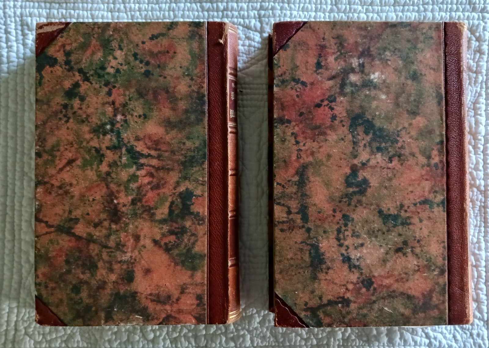 Versuch über die Ungleichheit Der Menschenracen, Gobineau, Volumes 1 & II, 1922