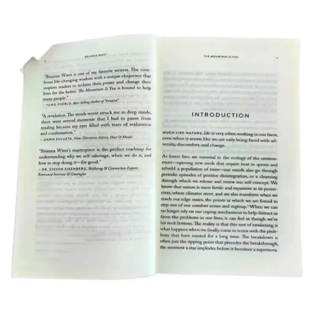The Mountain Is You: Transforming Self-Sabotage Into Self-Mastery Paperback